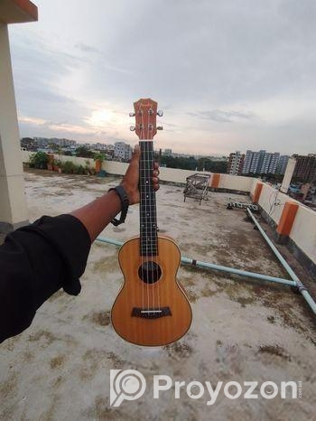 Ukelele Sell hobe