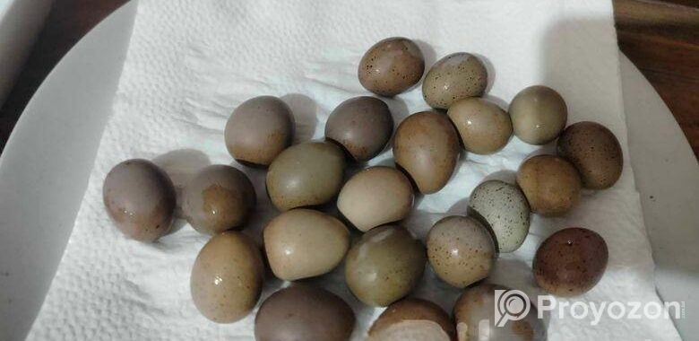 কিং কোয়েলে