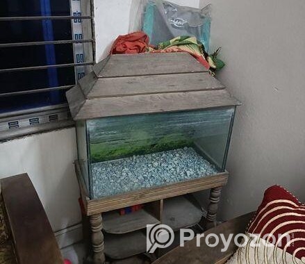 2 feet aquarium