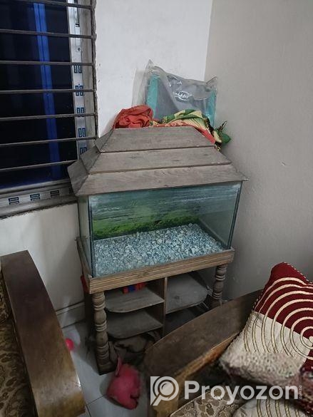 2 feet aquarium
