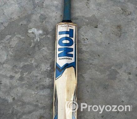 Kashmir willow SS TON