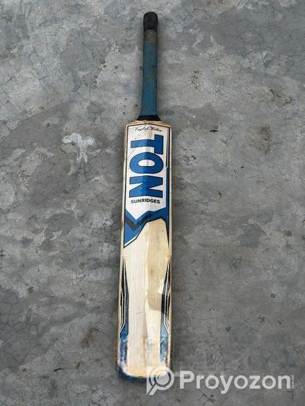 Kashmir willow SS TON