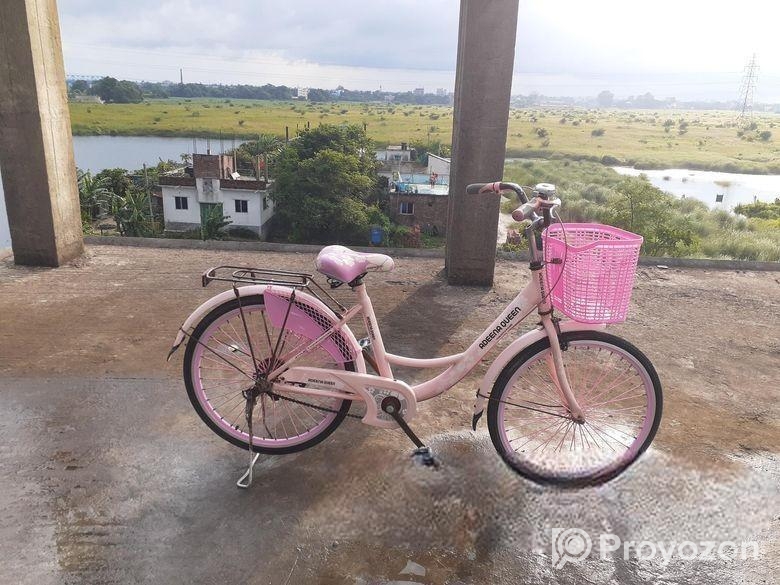 লেডিস সাইকেল