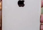 Apple iPhone 8 Plus  (Used)
