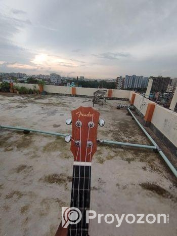 Ukelele Sell hobe