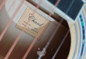 Guiter sell