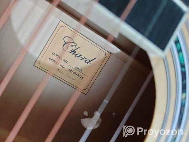 Guiter sell