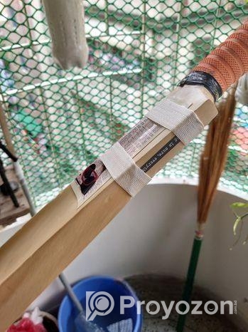 Cricket Bat ( Tape Tennis)