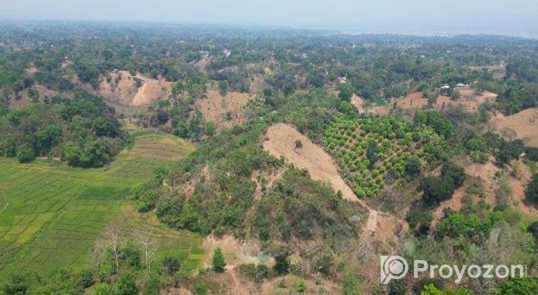 অল্প দামে পাহাড়ি জমি বিক্রয়