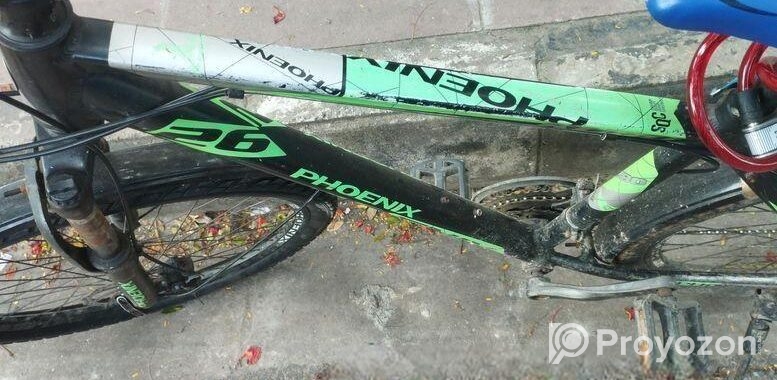 Phoenix Bicycle for sale