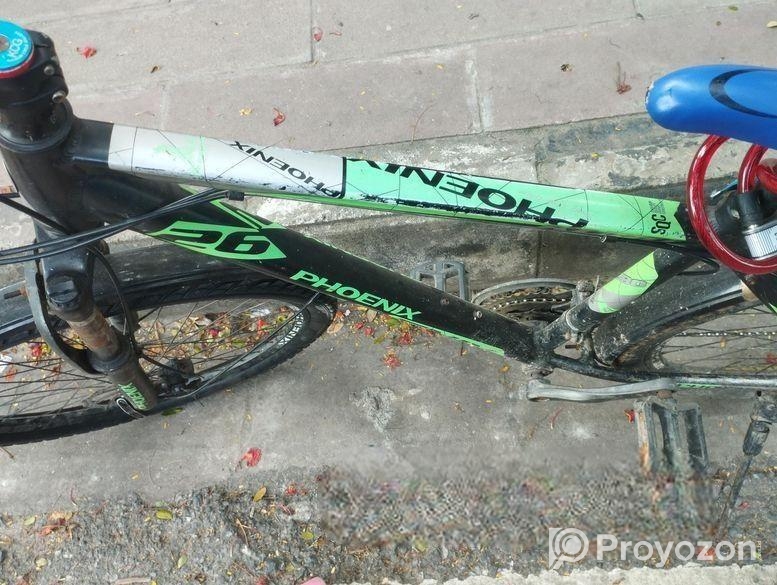 Phoenix Bicycle for sale