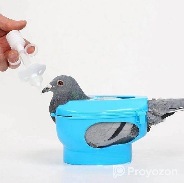 কবুতর হোল্ডার