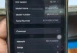 Apple iPhone 8 Plus  (Used)