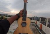 Ukelele Sell hobe