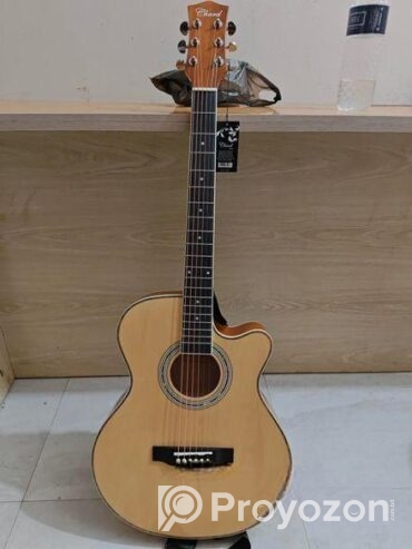 Guiter sell