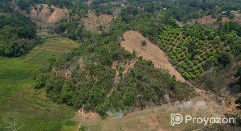 অল্প দামে পাহাড়ি জমি বিক্রয়