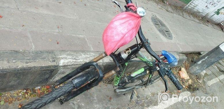 Phoenix Bicycle for sale