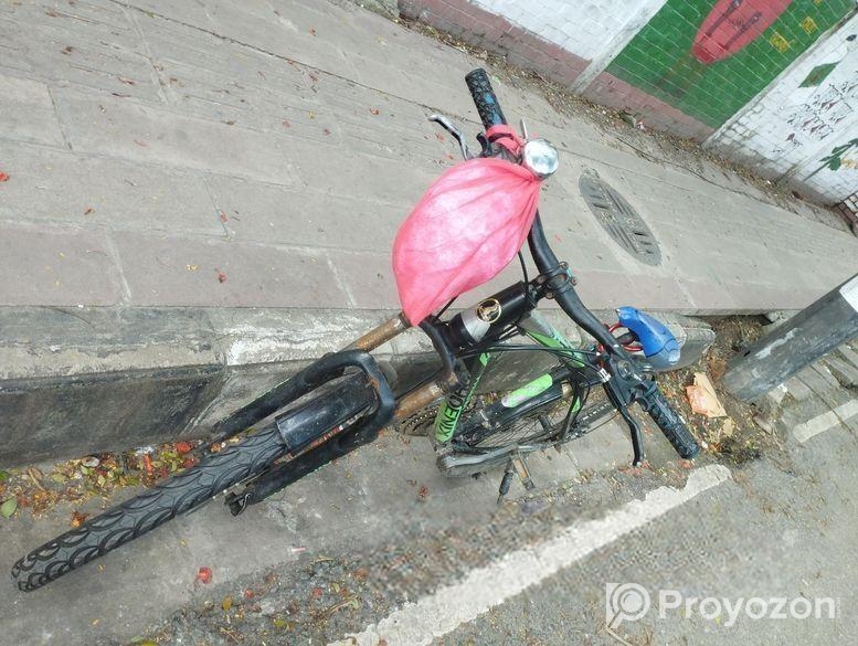 Phoenix Bicycle for sale