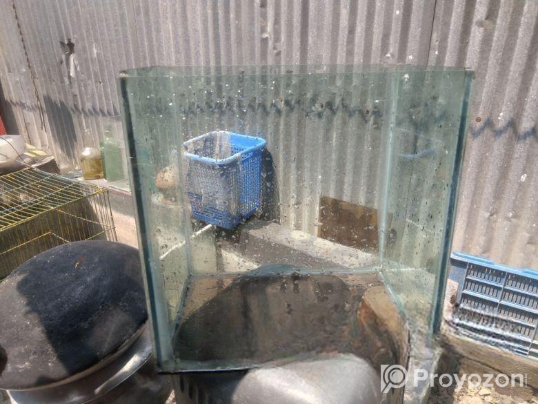 একুরিয়াম+এয়ারপাম্প