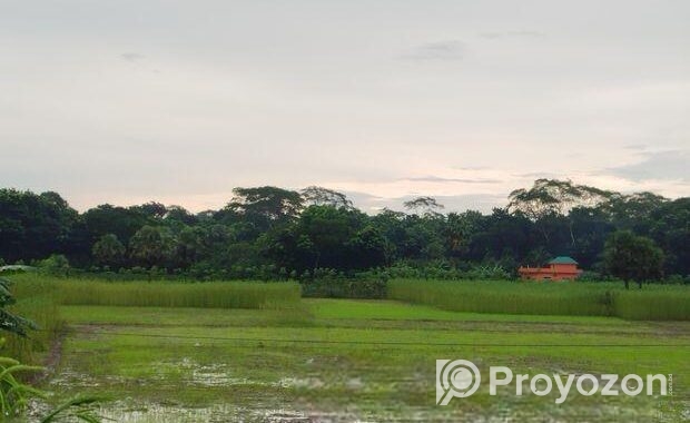 জমি বিক্রি করবো ৪০ শতাংশ ভাংগা টু বরিশাল হাইওয়ে রো