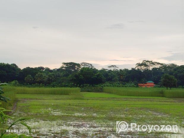 জমি বিক্রি করবো ৪০ শতাংশ ভাংগা টু বরিশাল হাইওয়ে রো
