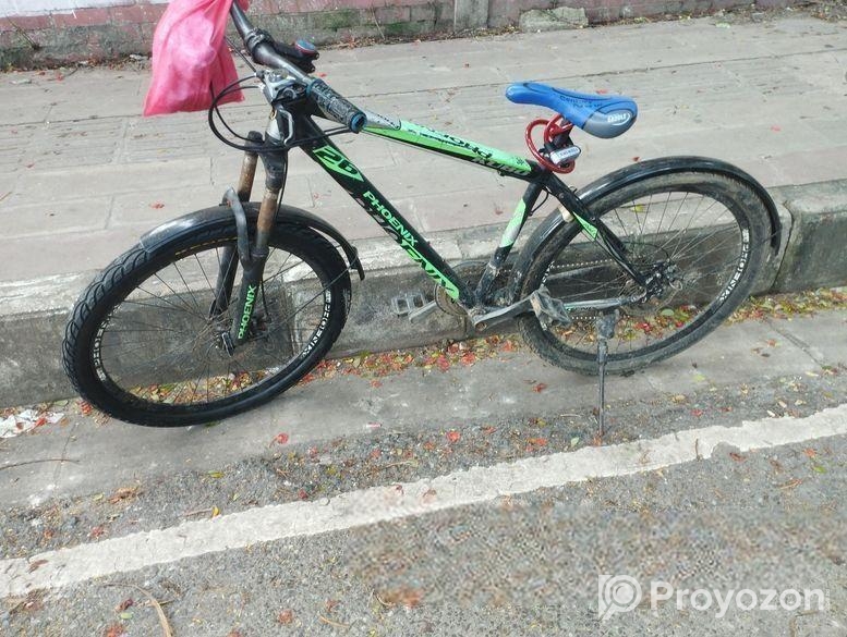 Phoenix Bicycle for sale