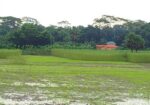 জমি বিক্রি করবো ৪০ শতাংশ ভাংগা টু বরিশাল হাইওয়ে রো