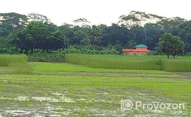 জমি বিক্রি করবো ৪০ শতাংশ ভাংগা টু বরিশাল হাইওয়ে রো