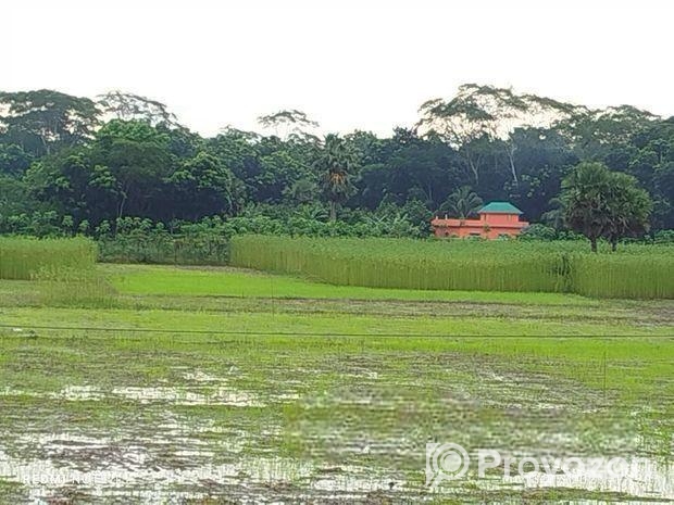 জমি বিক্রি করবো ৪০ শতাংশ ভাংগা টু বরিশাল হাইওয়ে রো