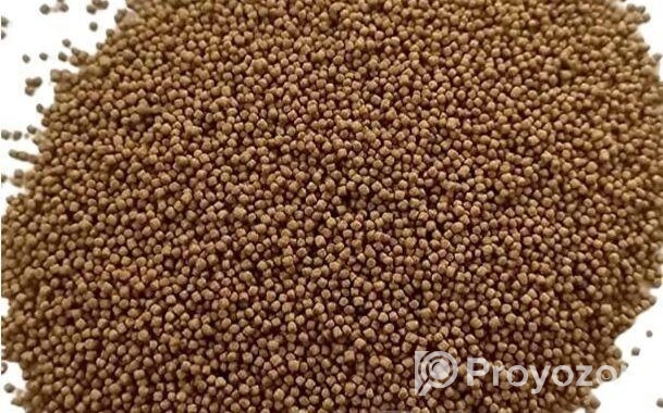 বিটল পোকা সুপার ওউর্মস