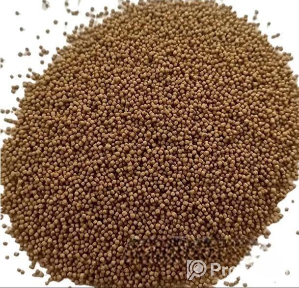 বিটল পোকা সুপার ওউর্মস