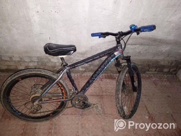 Bicycle for sale