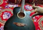 Sx Custom Guitar