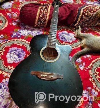 Sx Custom Guitar