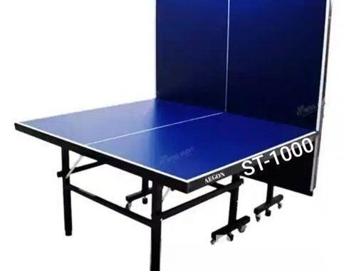 AEGON Single Folding Table Tennis Board-15mm
