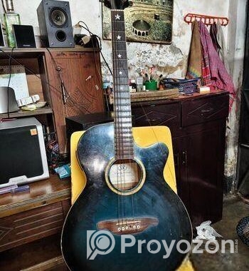 Sx Custom Guitar