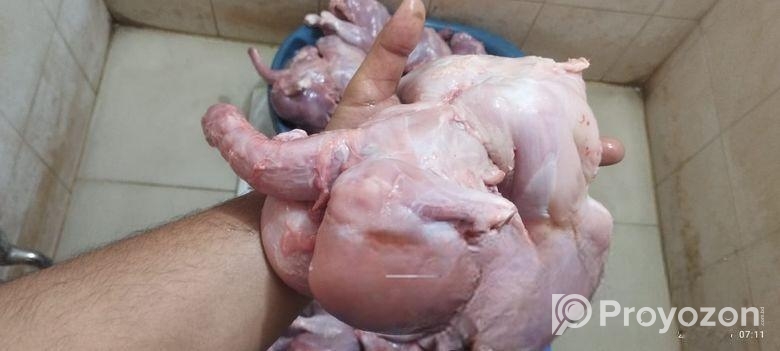 Chicken Only for Animal / Pets