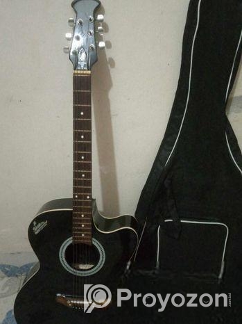 সিগনেচার গিটার সেল পোষ্ট