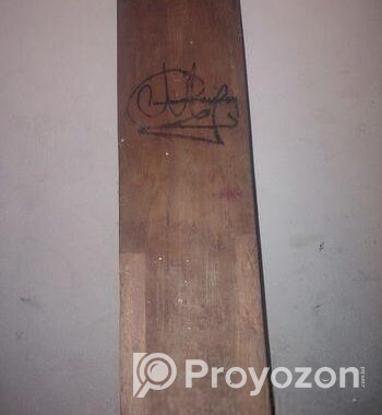 Cricket Bat