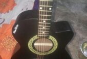 Moon Stan Guitar
