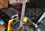 Sx Custom Guitar