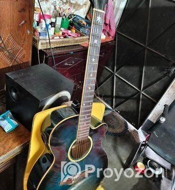 Sx Custom Guitar