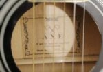 AXE AG-15-Bk Guiter