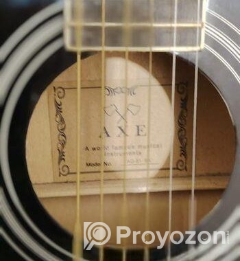AXE AG-15-Bk Guiter