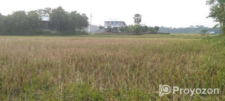 জমি বিক্রি ৫২ শতাংশ [২৬ করা]