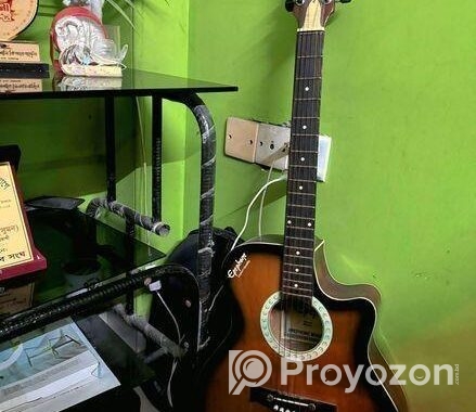Japanese Guitar