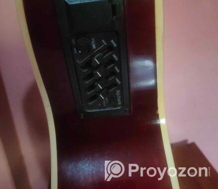 জ্যাকসন ব্রান্ড গিটার