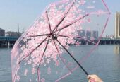 Transparent Umbrella