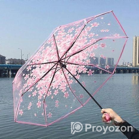 Transparent Umbrella
