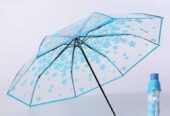 Transparent Umbrella